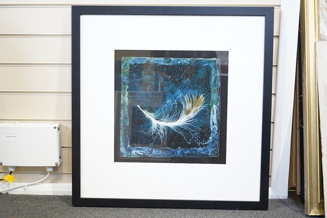 Paul Kenny (b.1951), three abstract photographic prints to include: Study of a feather and one limited edition 1/30, largest 38 x 36cm